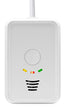 LPG/CO Gaswarner 12 V - 2 in 1