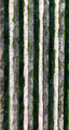 Arisol Flauschvorhang 56x185 Grau/Dunkelgrün/Weiß