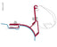 Fiamma Adapter f. VW-T5 Multivan o. Transporter für Fiamma Markise F35 UK Versio