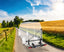 Sawiko Trigo Van FahrradtrÃ¤ger 1 Fahrrad + 1 Fat Bike