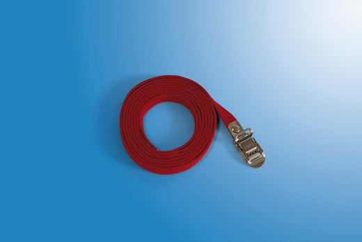 Fiamma Sicherungs-Spanngurt Länge: 200cm