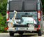 Motorrad/Rollerträger Trigger für Ducato ab 1995