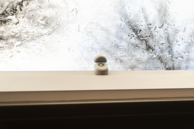 Nie wieder mit offener Dachluke oder offenem Fenster losfahren
