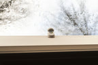 Nie wieder mit offener Dachluke oder offenem Fenster losfahren