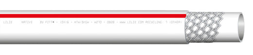 Lilie kTW-Wasserschl.rot 10x16