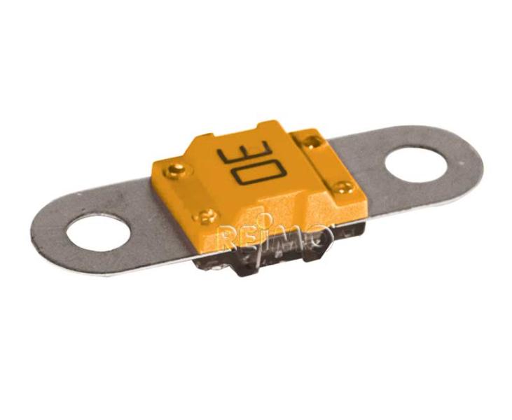 Sicherung BF1 30A orange