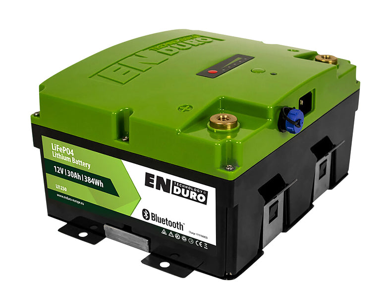 Lithium-Eisen-Phosphat Batterie, 30Ah, BT+int.Ladegerät, Appsteuerung