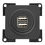 USB-A-Doppelladesteckdose 5 V / 2 x 2,5 - Schiefergrau - Lose