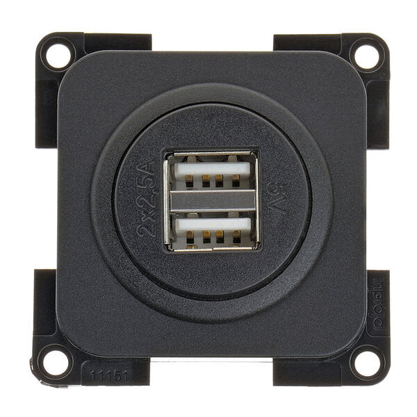 USB-Doppelladesteckdose - USB-A - Schwarz - Lose