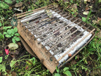 Die nachhaltige Alternative zum Aluminium-Einweggrill