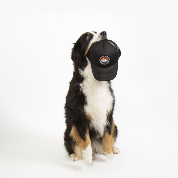 Basecap mit farbigem Emblem-Stick