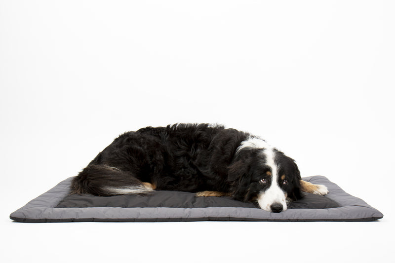 Robuste Hundematte