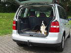 Robuste Hundematte