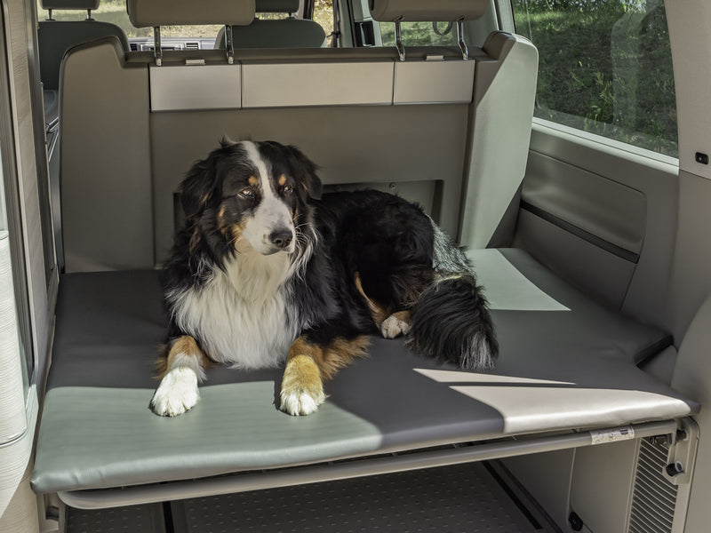 Hundematratze - Heckauflage fÃ¼r VW T5/T6 California
