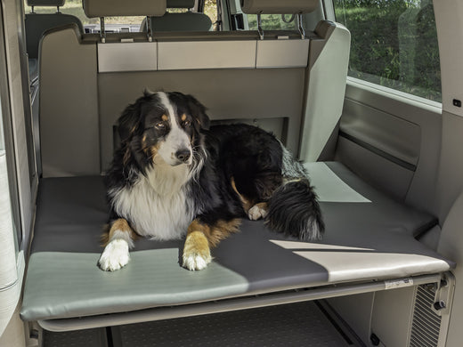 Reimo Hundematratze - Heckauflage für VW T5/T6 California