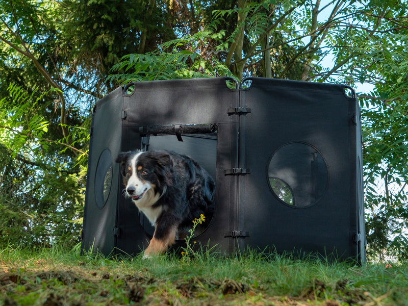 Hundegitter, faltbar