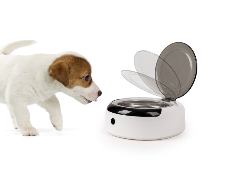 Hunde-Futternapf mit Deckel und Sensor