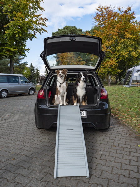 Klappbare Einstiegshilfe für Hunde