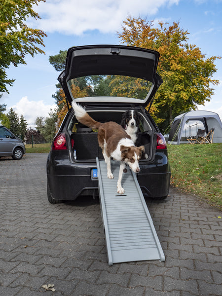 Klappbare Einstiegshilfe für Hunde