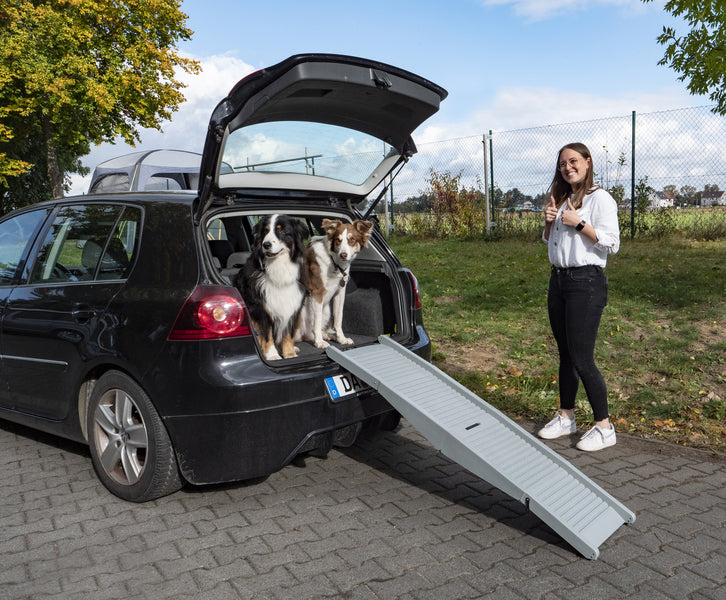 Klappbare Einstiegshilfe für Hunde