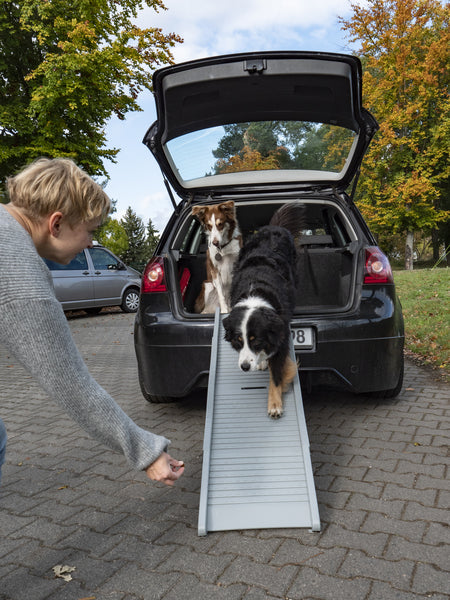 Klappbare Einstiegshilfe für Hunde