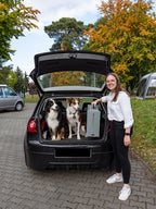 Klappbare Einstiegshilfe für Hunde