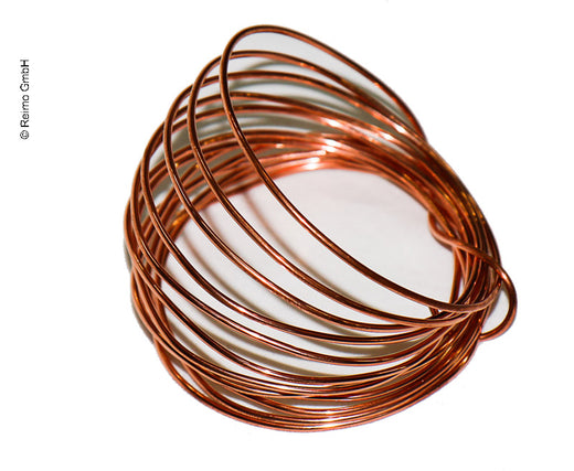 Carbest Spirale für Kühlbox
