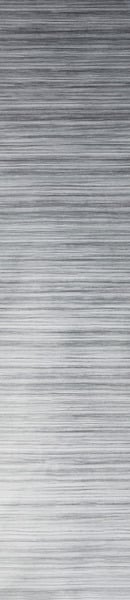 Fiamma Markise F45 L 5m Roy.grey