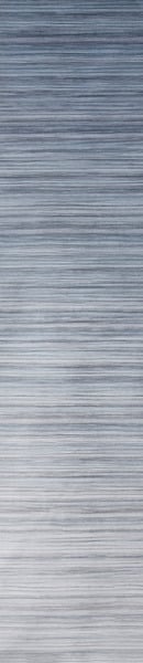 Fiamma Markise F45 L 5m Roy.grey